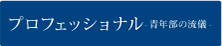 プロフェッショナル
